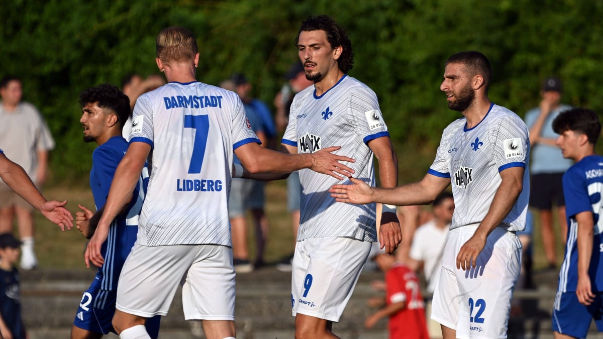 Doppelpack-Hornby-Lilien-schlagen-Aschaffenburg