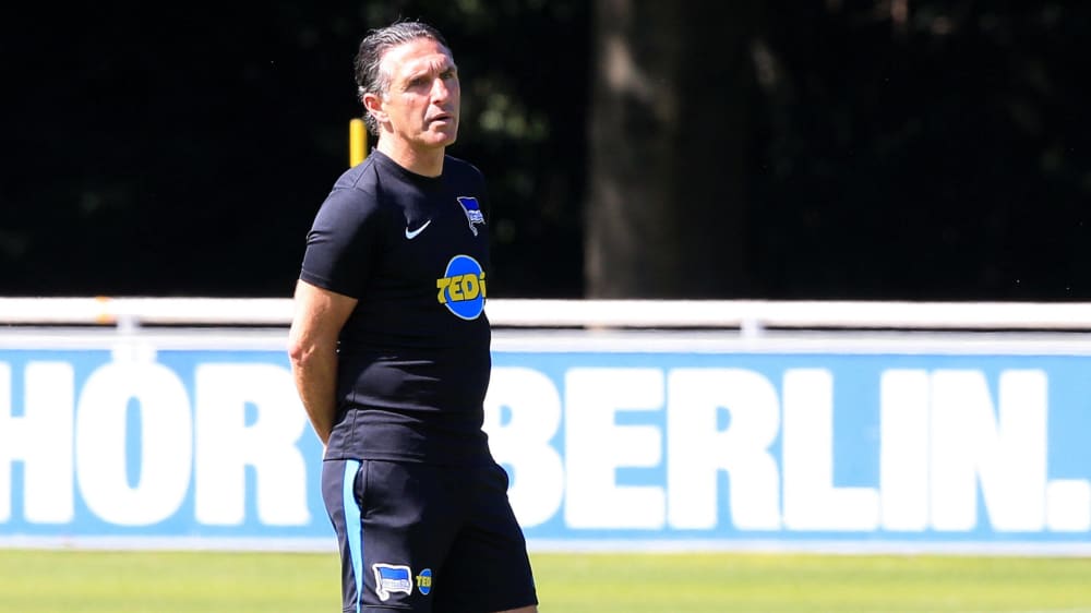 Gesucht und gefunden? Bruno Labbadia ist bereits der vierte Hertha-Coach in dieser Bundesliga-Saison 2019/20.