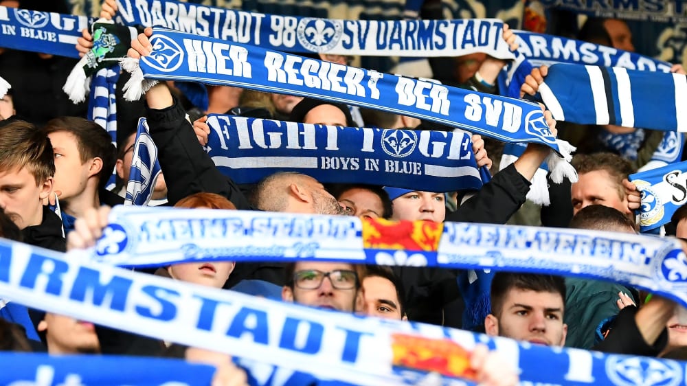 K&#246;nnten bald f&#252;r ihren Herzensklub auflaufen: Die Fans von Darmstadt 98.