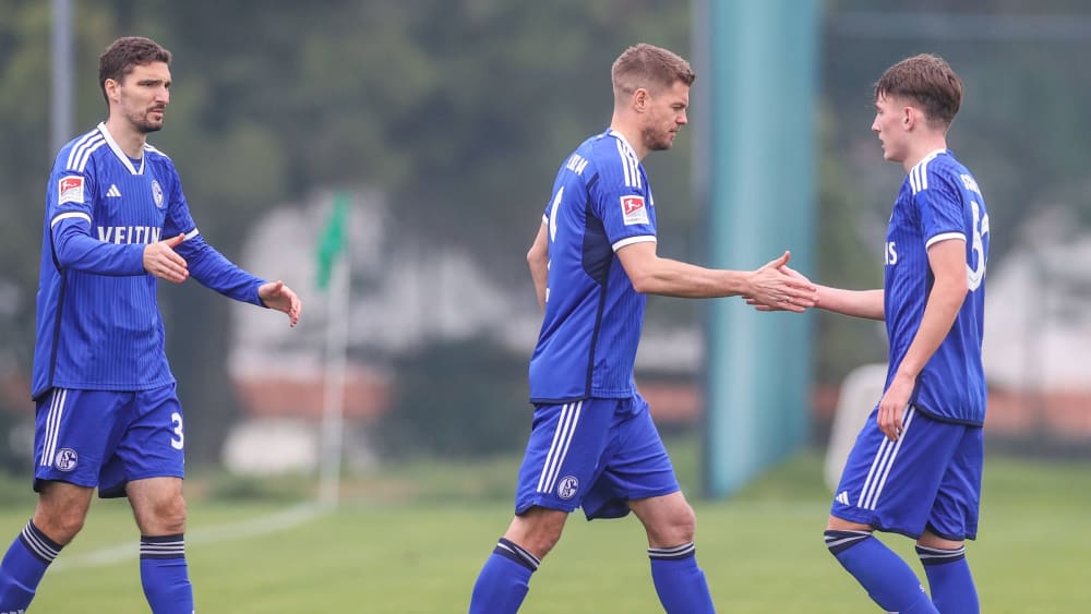 Beschert Schalke immerhin noch den Ausgleich kurz vor Schluss: Simon Terodde (M.).