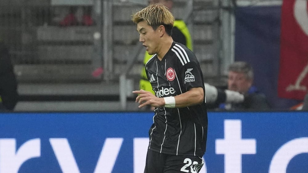 Ritsu Doan