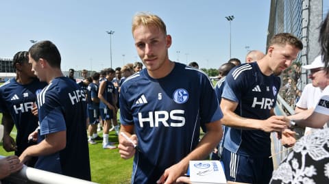 Herz schlägt Verstand?
