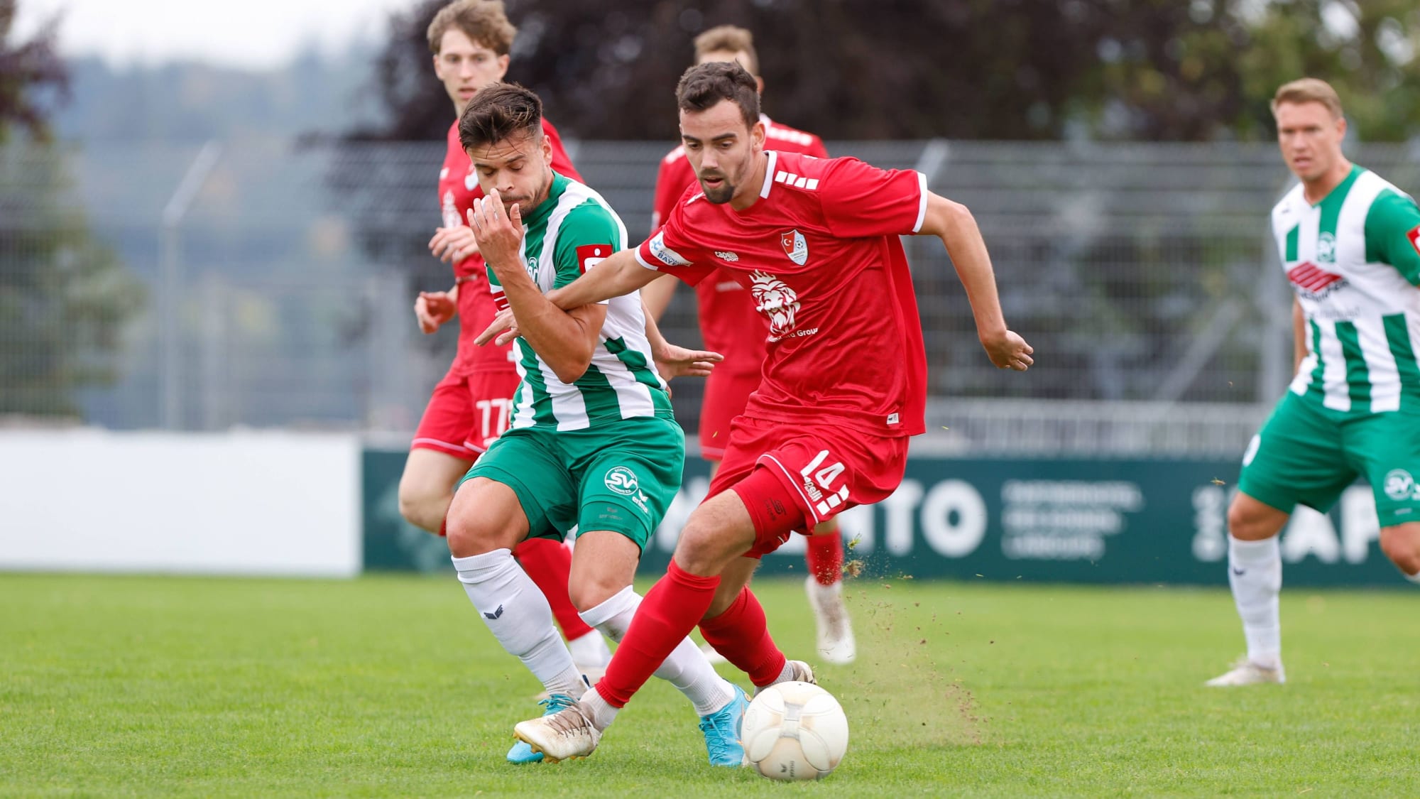 Regionalliga Südwest: Alle Wintertransfers auf einen Blick - kicker