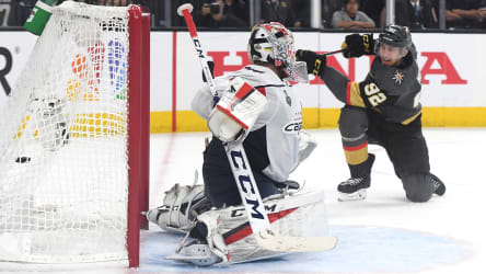 Braden Holtby & Tomas Nosek