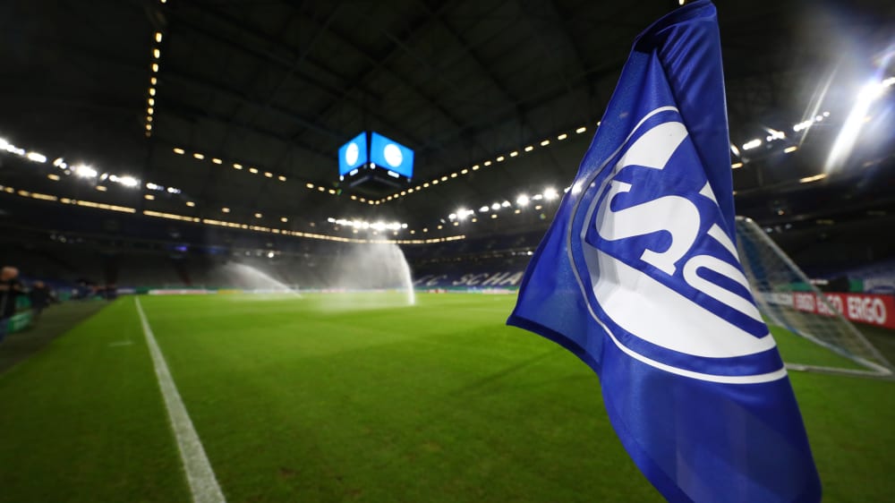 FC Schalke 04: Zweithöchster Umsatz der Vereinsgeschichte ...