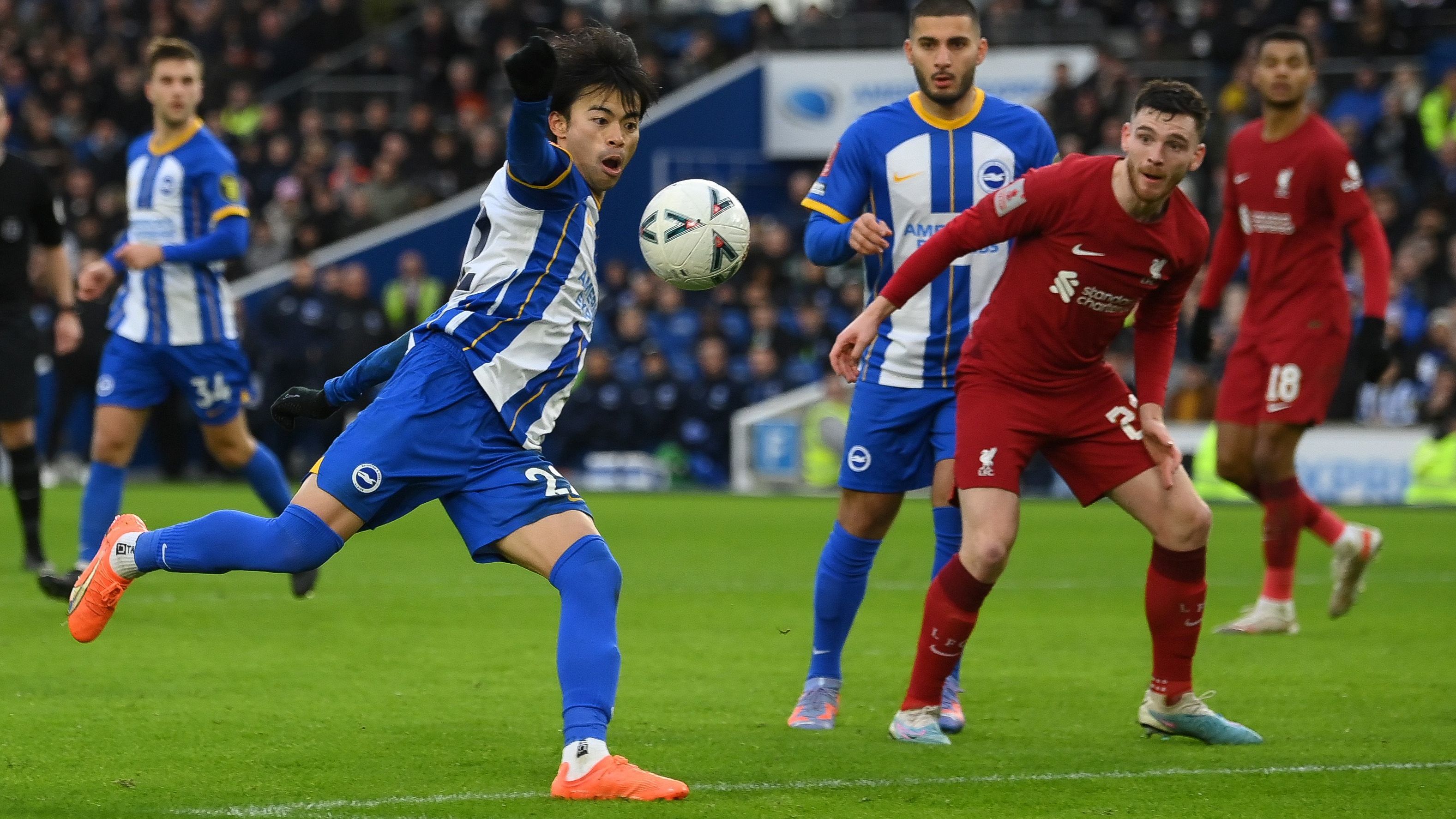 Brighton & Hove Albion News Aktuelle Nachrichten & Infos kicker