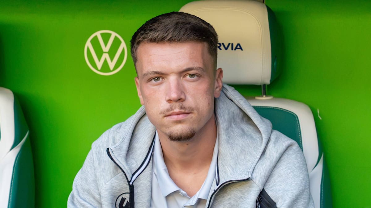 Agreement reached: Wolfsburg striker Pejcinovic close to joining VfB