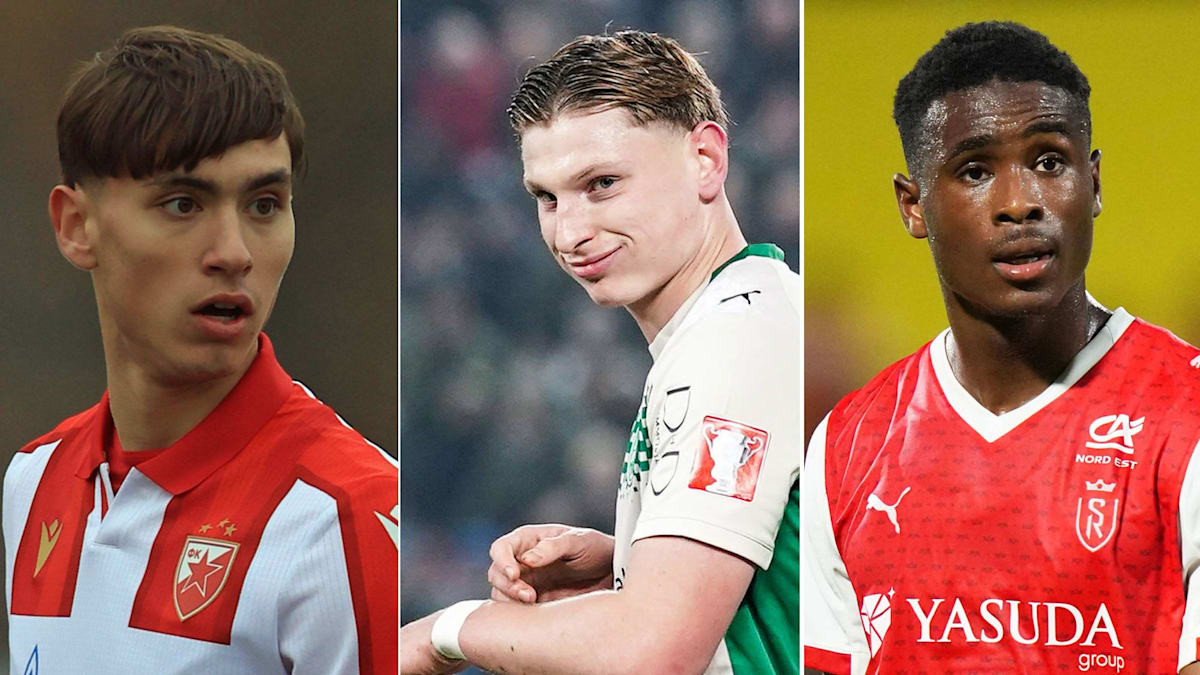 Die Sommer-Neuzugänge der Bundesligisten im Überblick