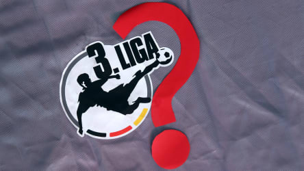 3. Liga