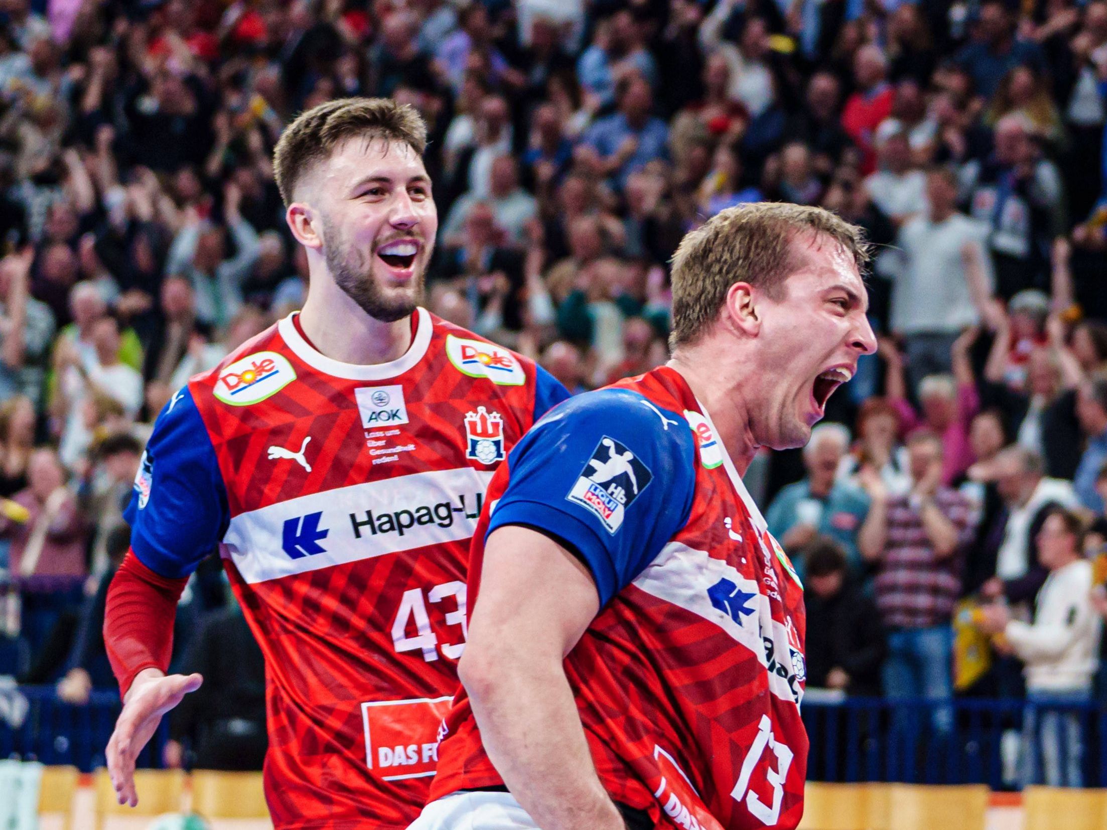 Handball Bundesliga: Clarity regarding HSV Hamburg's license