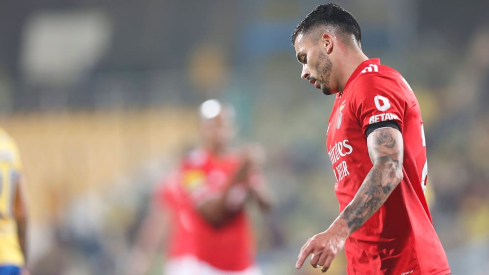 Benfica Coach Jesus Raubt Radonjic Die Hoffnung Kicker