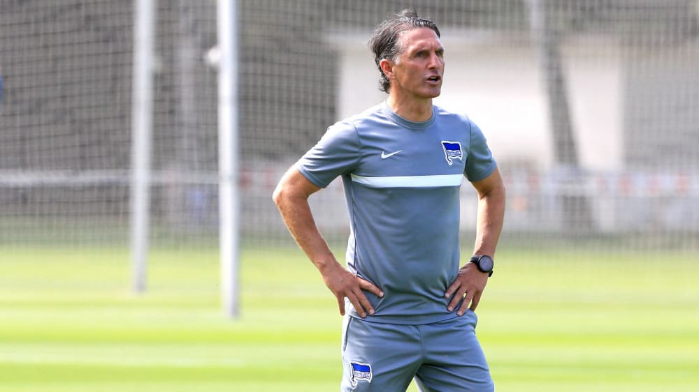 Bruno Labbadia