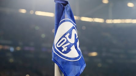 Probleme en masse: Auf Schalke gab es schon bessere Zeiten.