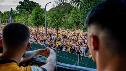 Fans und Spieler in Dresden