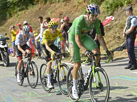 Wout van Aert Tour de France
