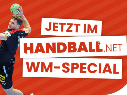 Handball net