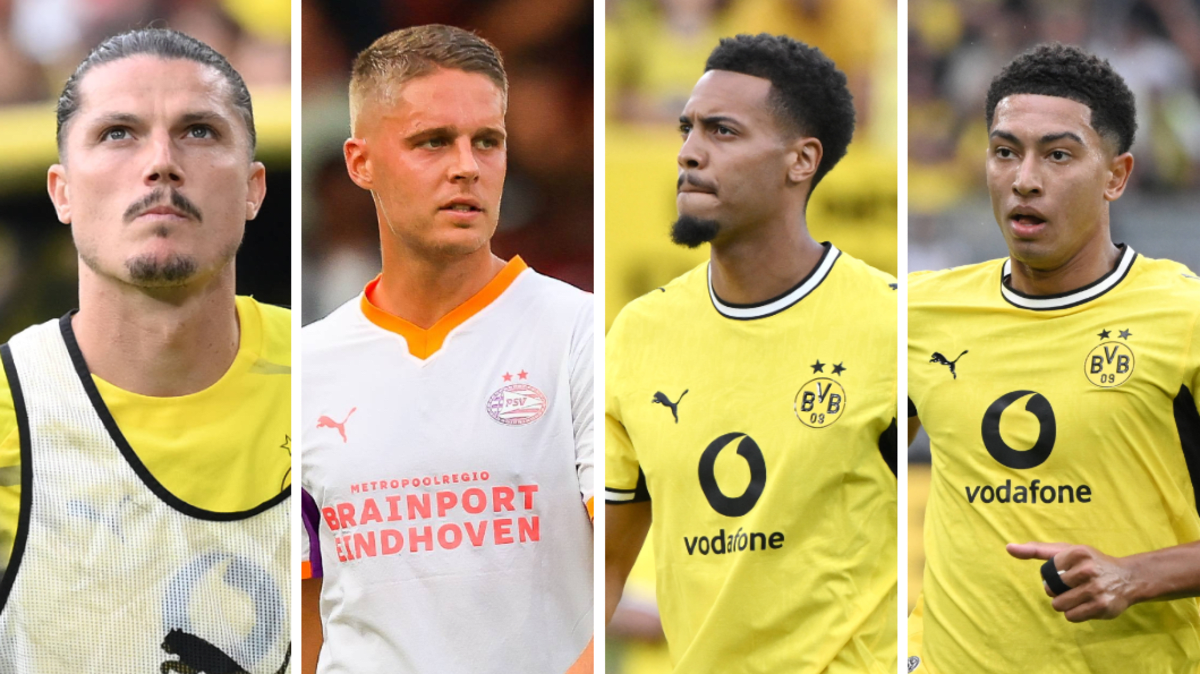(k+) Die Folgen des Veerman-Transfers für die Hierarchie im Dortmunder ...