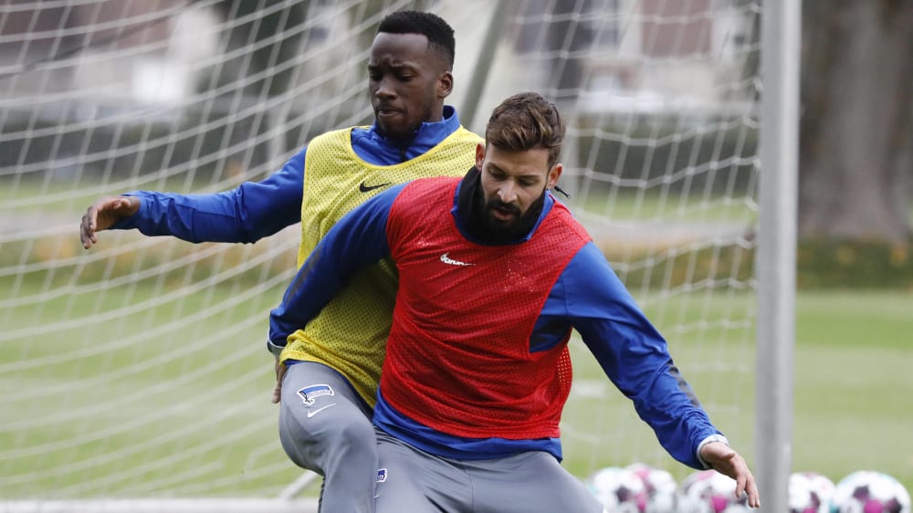 Bekamen grünes Licht von den Ärzten: Dodi Lukebakio und Marvin Plattenhardt.