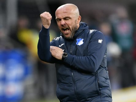 Alfred Schreuder ist Trainer der TSG 1899 Hoffenheim.