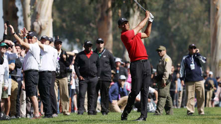 Tiger Woods