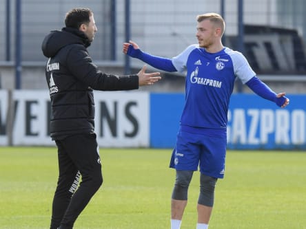 Domenico Tedesco und Max Meyer