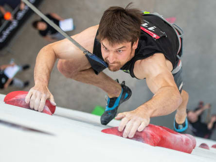 Jan Hojer beim Speedklettern.
