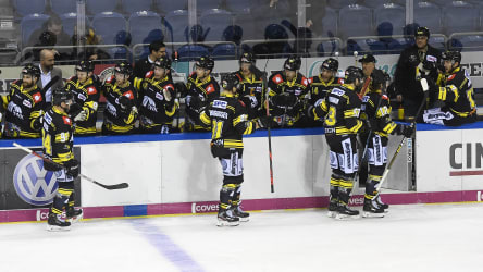 Stehen vor einer ungewissen Zukunft: Die Krefeld Pinguine.