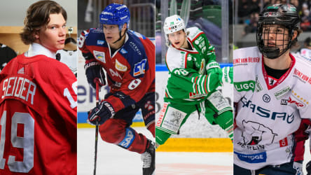 Moritz Seider, Tim Stützle, Dominik Bokk, Lukas Reichel (v.li.)