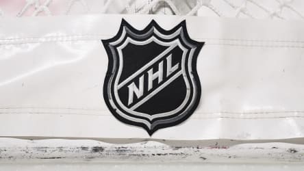 Die National Hockey League ist die beste Eishockey-Liga der Welt.