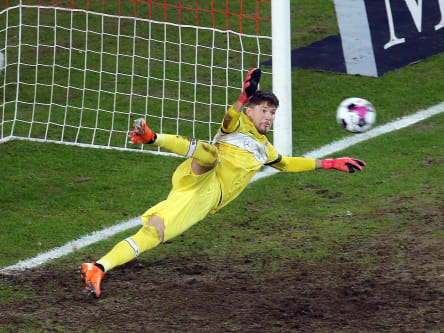 Gregor Kobel