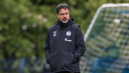 David Wagner