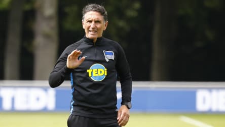 Bruno Labbadia