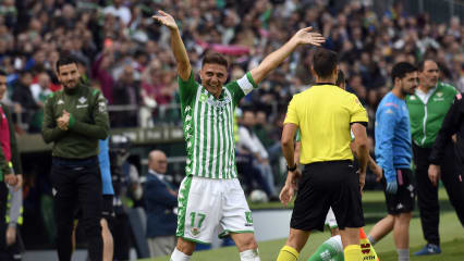 Joaquin Real Betis Sevilla Spielerprofil Kicker