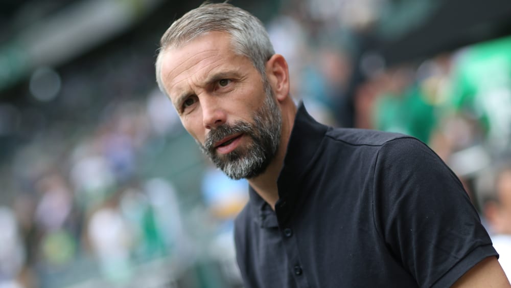 Mit seinen Borussen am Bosporus gefordert: Marco Rose.