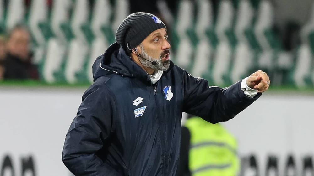 Trug einst TSG-Arbeitskleidung: Pellegrino Matarazzo.