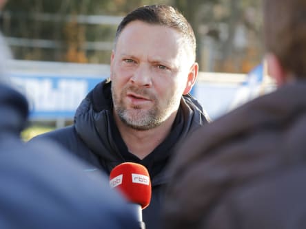 Er war nicht zufrieden mit dem Verhalten seiner Spieler: Pal Dardai.