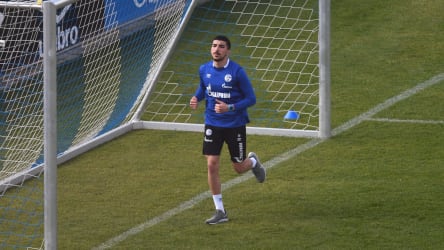 Nassim Boujellab