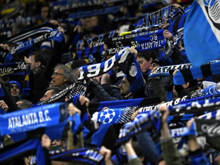 Hier zeigen sich Fans von Atalanta Bergamo.