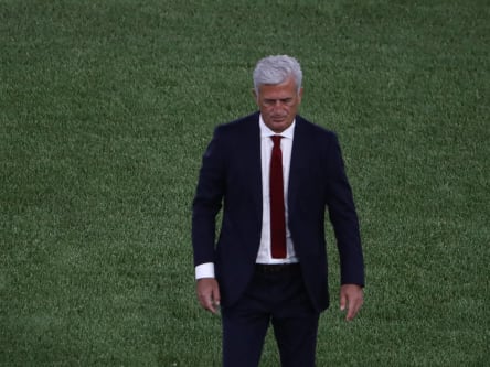 Taube bei Deutschland gegen Portugal wird zum Internet-Hit ...