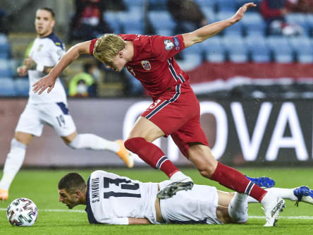 Erling Haaland