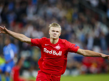 Haaland