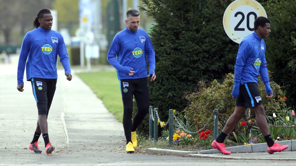 Hertha-Angreifer Vedad Ibisevic