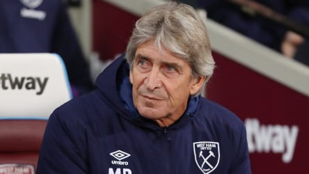 Manuel Pellegrini