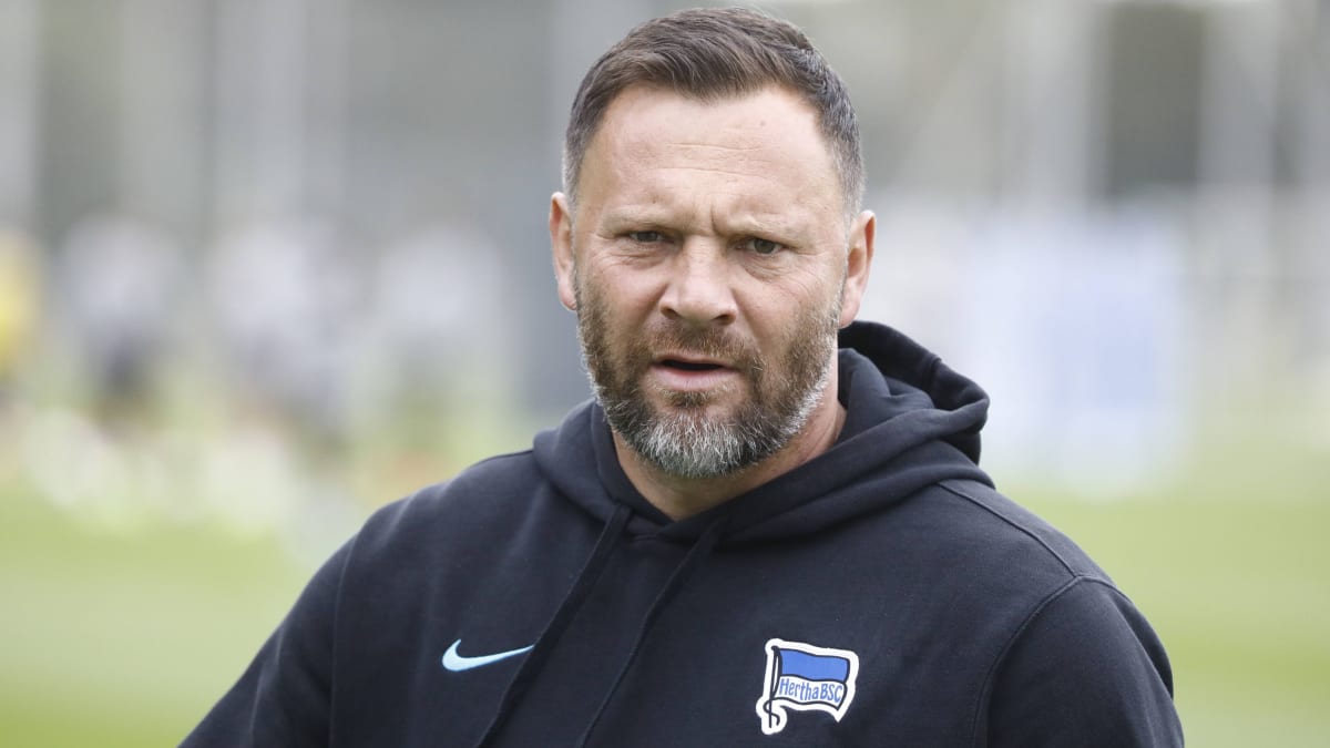 Dardai: "Hertha ist kein Chemielabor mit weißen Mäusen"