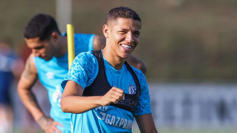 Amine Harit