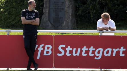 Trainer Pellegrino Matarazzo und Sportdirektor Sven Mislintat