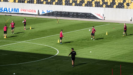 Training bei Dynamo Dresden