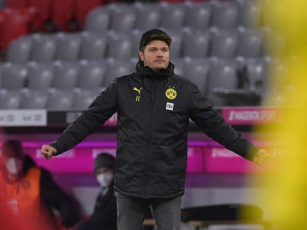 Dortmunds Trainer Edin Terzic
