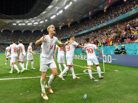 Die Schweiz feiert das 3:3 durch Mario Gavranovic