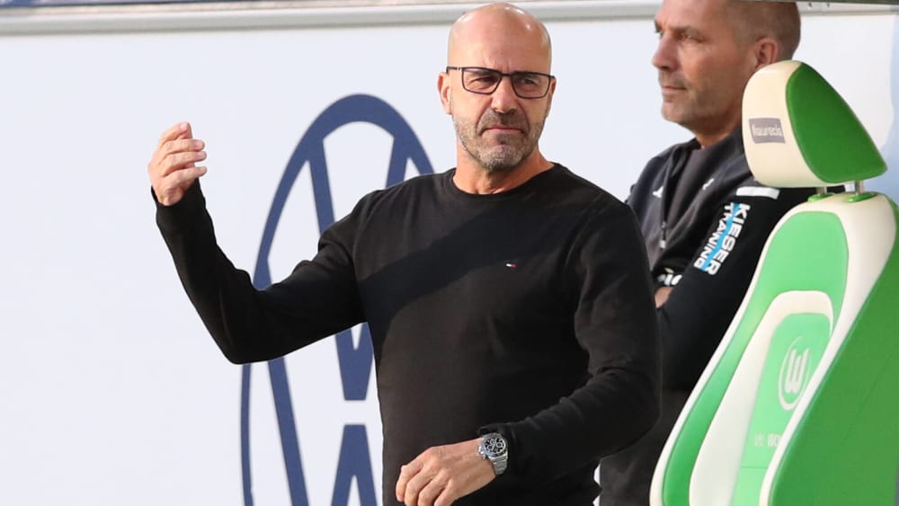 Der Leverkusener Coach Peter Bosz.